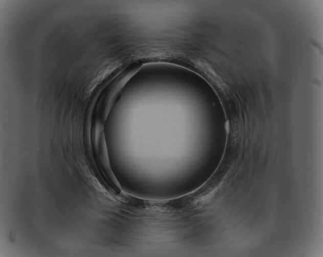 X0000092310585200709141355