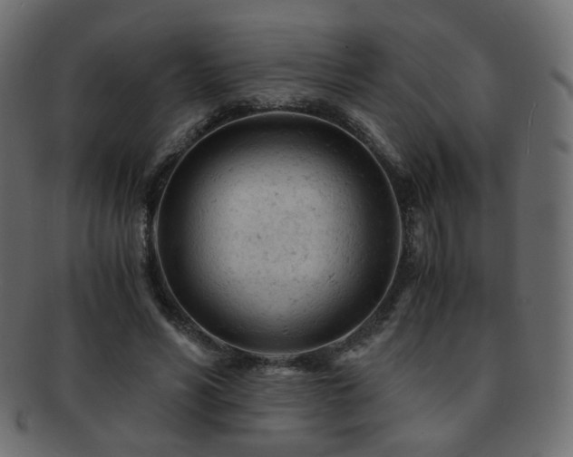 X0000092310590200709141355