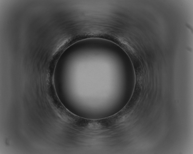 X0000092310591200709141355
