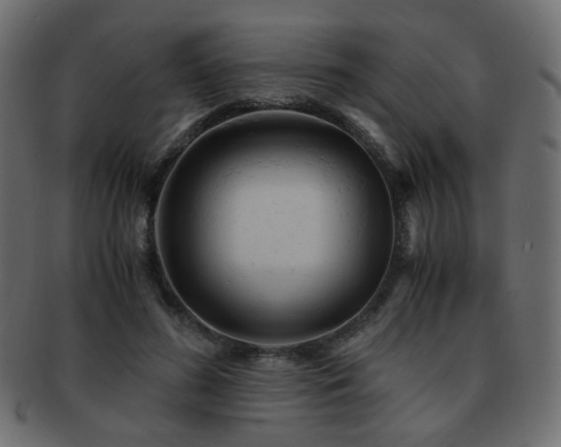 X0000092310596200709141355