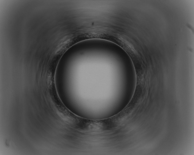 X0000092310599200709141355