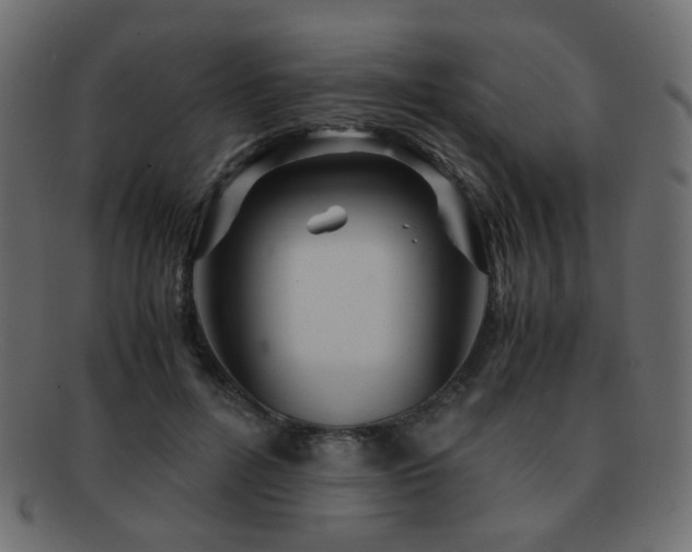 X0000092310600200709141355