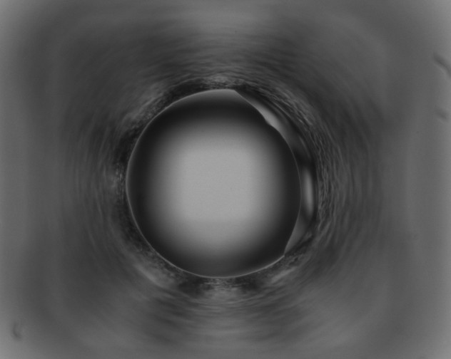 X0000092310601200709141355