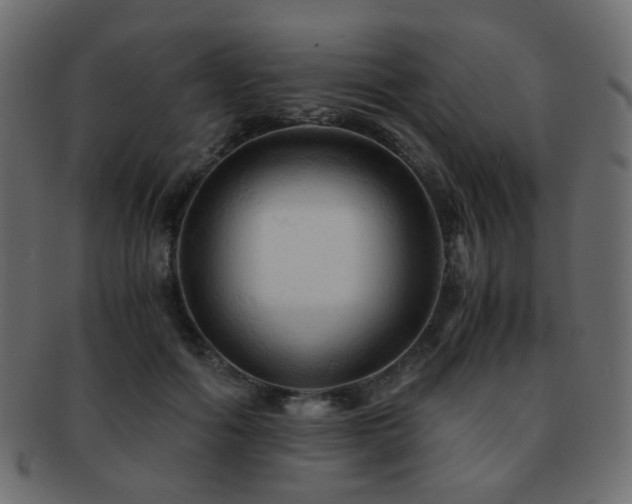 X0000092310602200709141355