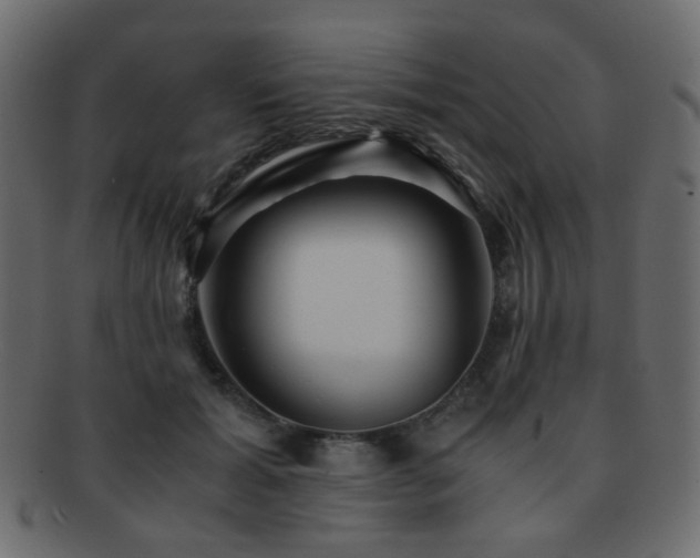 X0000092310605200709141355