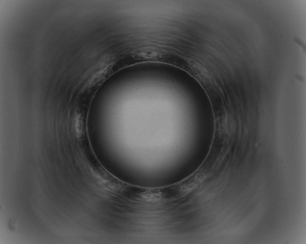 X0000092310606200709141355