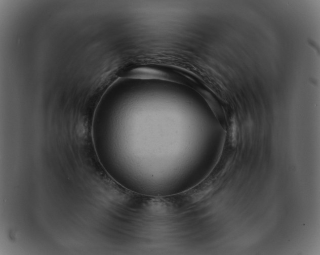 X0000092310608200709141355