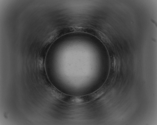 X0000092310610200709141354