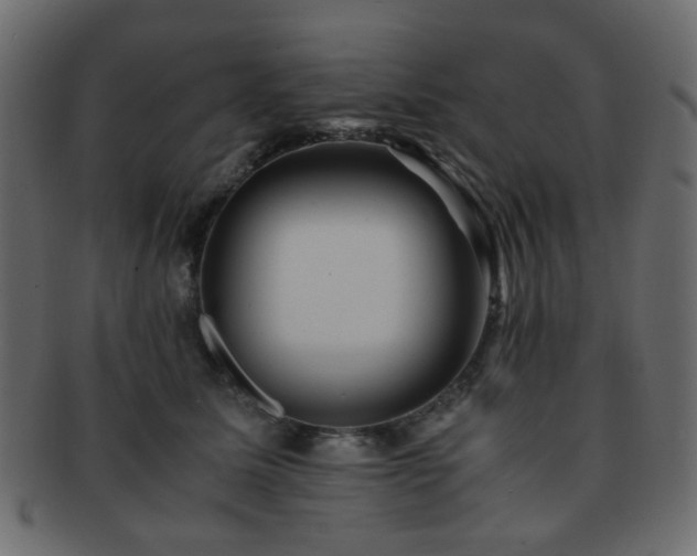 X0000092310611200709141354
