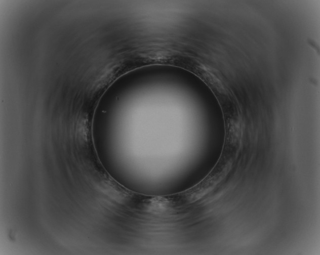 X0000092310612200709141354
