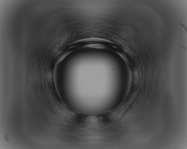 X0000092310613200709141354