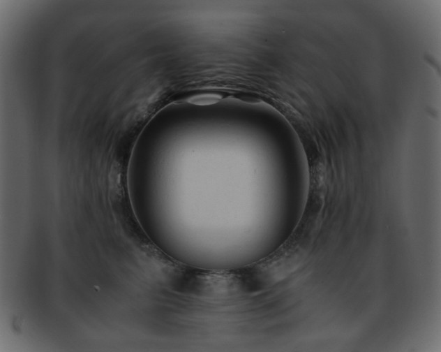 X0000092310615200709141354