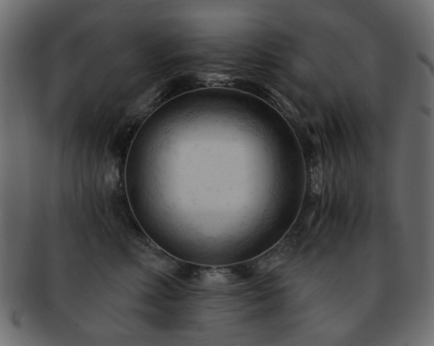 X0000092310618200709141354