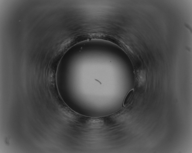 X0000092310619200709141354