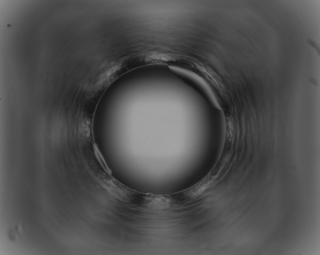 X0000092310621200709141354