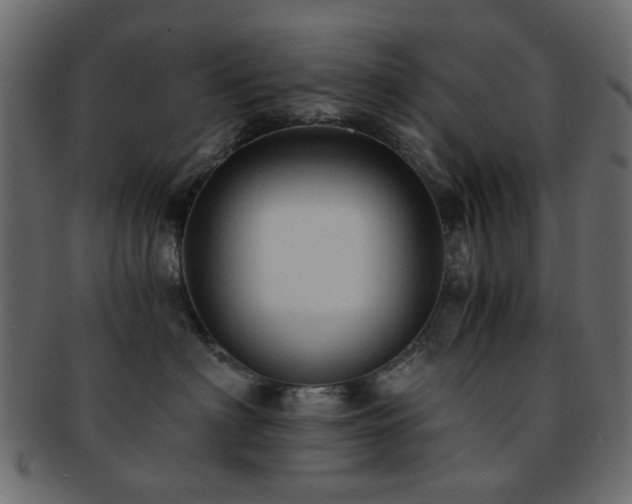X0000092310622200709141354