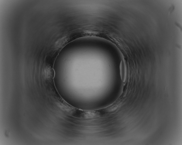 X0000092310623200709141354