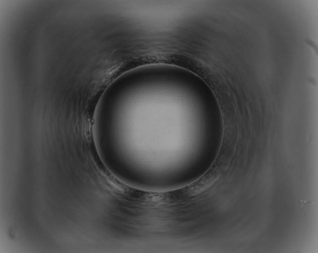 X0000092310624200709141354