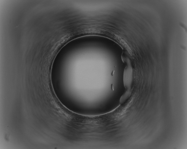 X0000092310625200709141354