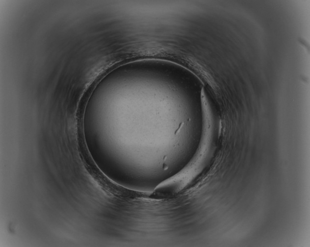 X0000092310626200709141354