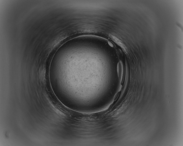 X0000092310627200709141354