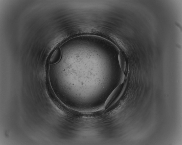 X0000092310630200709141354