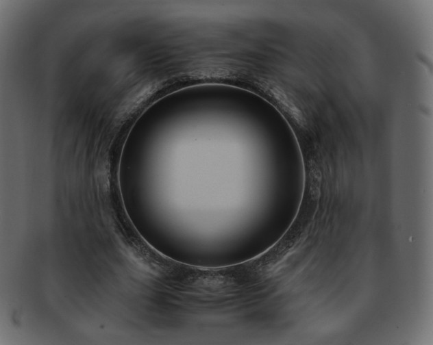 X0000092310631200709141354