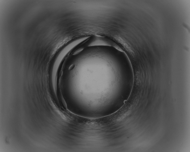 X0000092310634200709141354