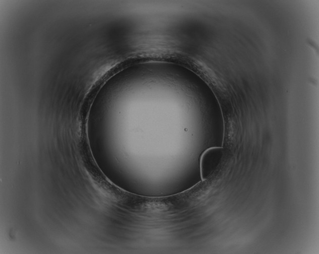 X0000092310636200709141354