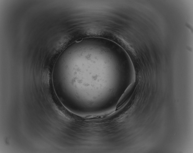 X0000092310637200709141354