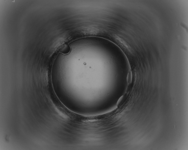 X0000092310638200709141354