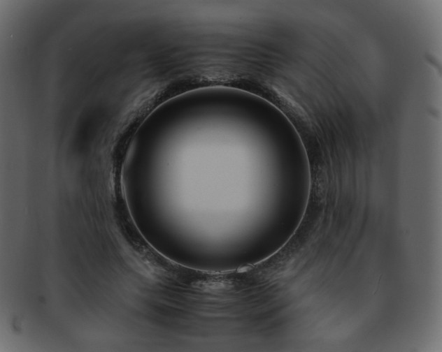 X0000092310639200709141354