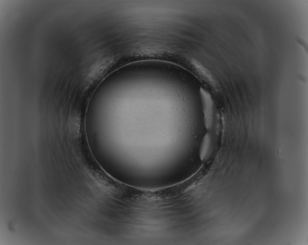 X0000092310640200709141354