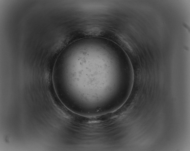 X0000092310641200709141354