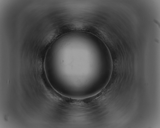 X0000092310642200709141354