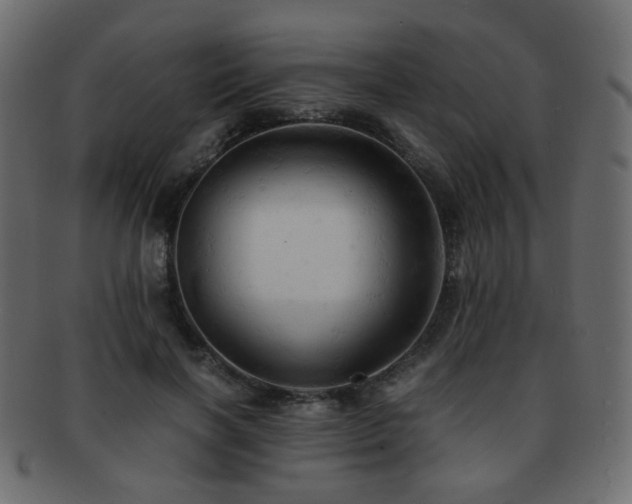 X0000092310646200709141354
