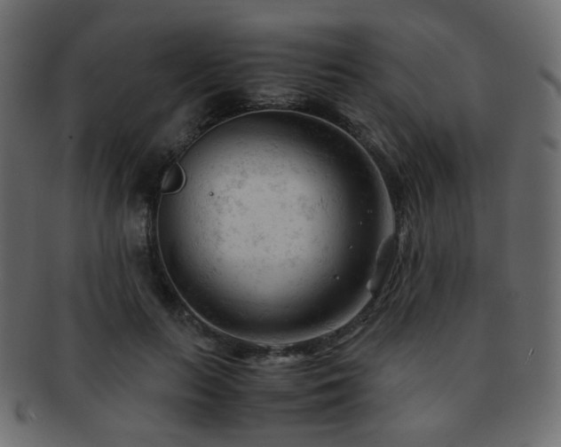 X0000092310647200709141354