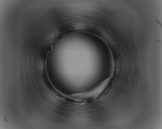 X0000092310648200709141354