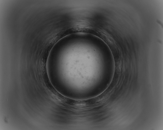 X0000092310653200709141354