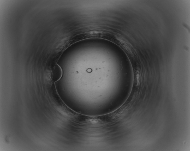 X0000092310654200709141354