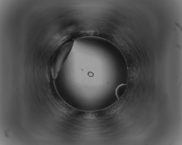 X0000092310656200709141354