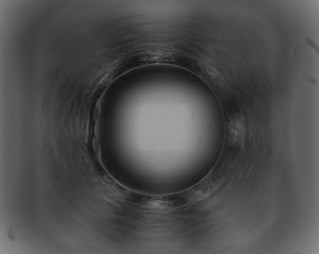 X0000092310657200709141354