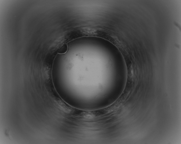 X0000092310658200709141354