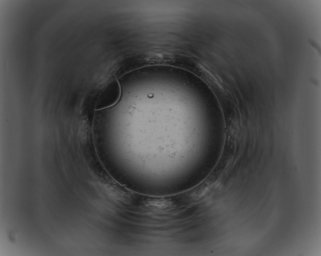 X0000092310659200709141354