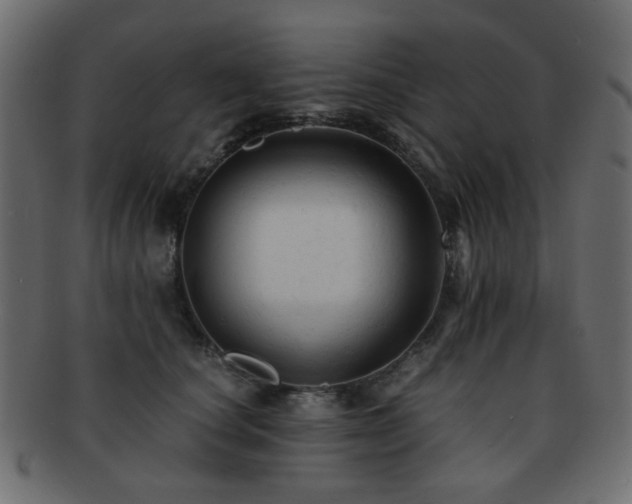 X0000092310660200709141354