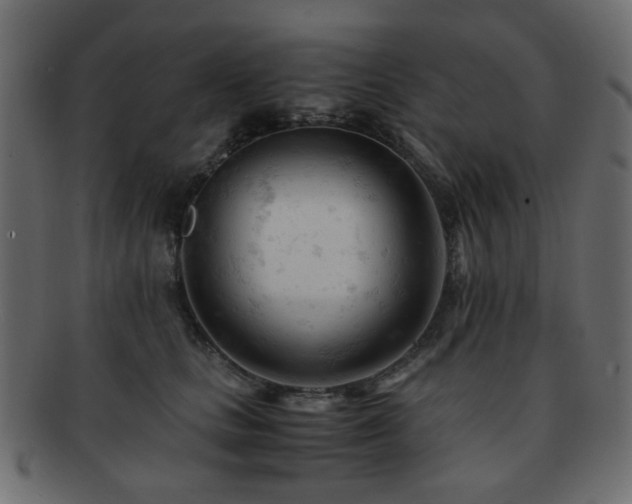 X0000092310661200709141354