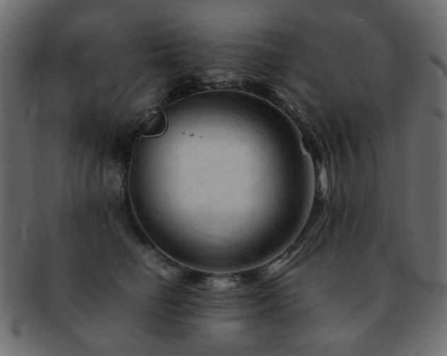 X0000092310662200709141354