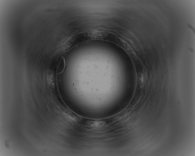 X0000092310663200709141354