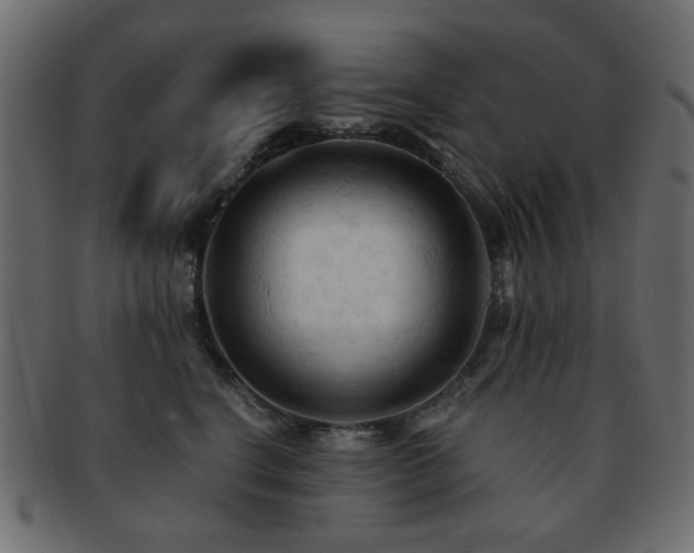 X0000092310664200709141354