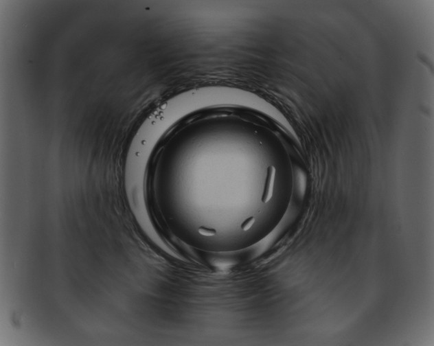X0000092310665200709141354